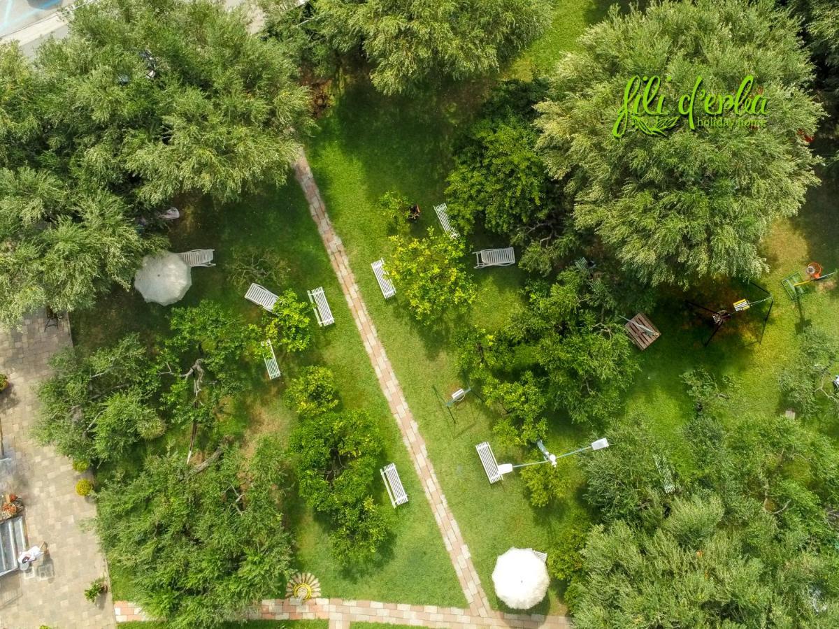Vila Fili D'Erba Cilento Villammare Exteriér fotografie
