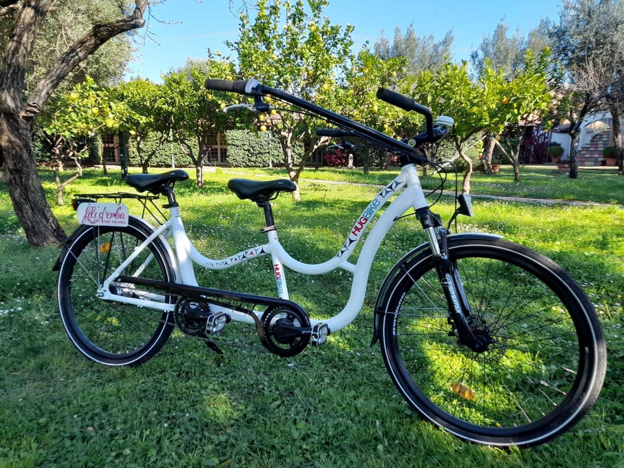 Vila Fili D'Erba Cilento Villammare Exteriér fotografie