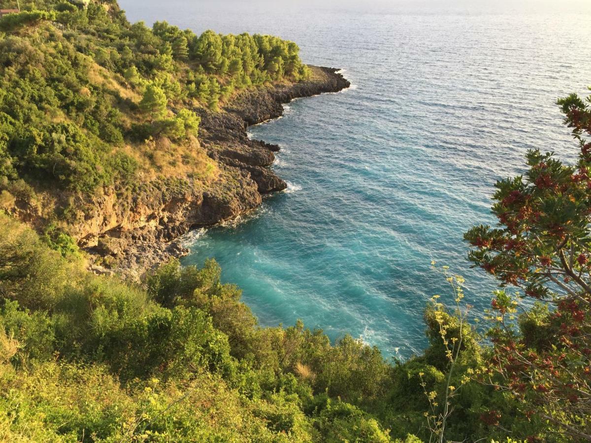 Vila Fili D'Erba Cilento Villammare Exteriér fotografie